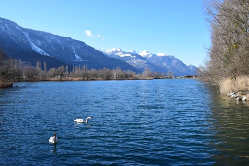 Berges du Rhône