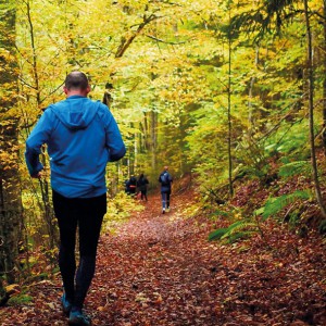 trail forêt